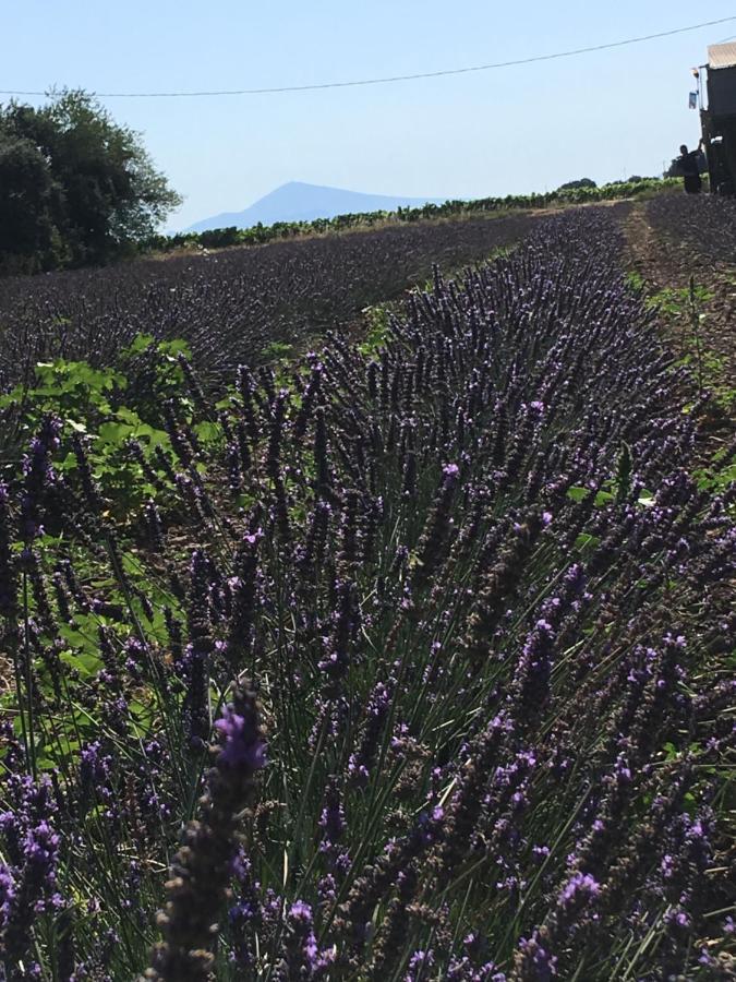مبيت وإفطار Uchaux Fontclaire En Provence المظهر الخارجي الصورة